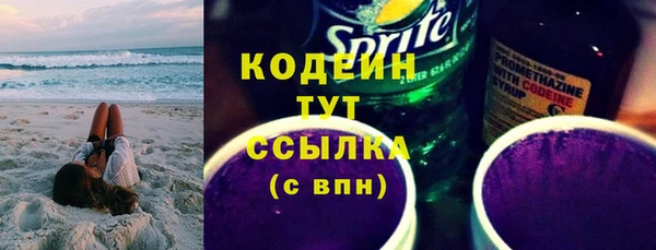 шишки Горняк