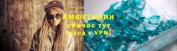 шишки Горняк