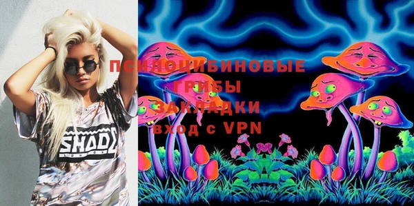 дмт Вязьма