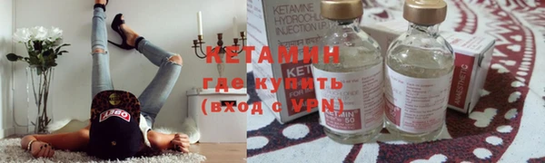 шишки Горняк
