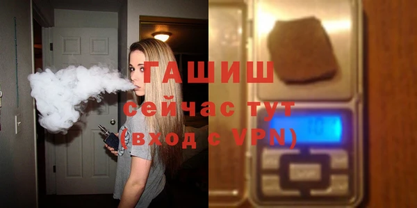 шишки Горняк