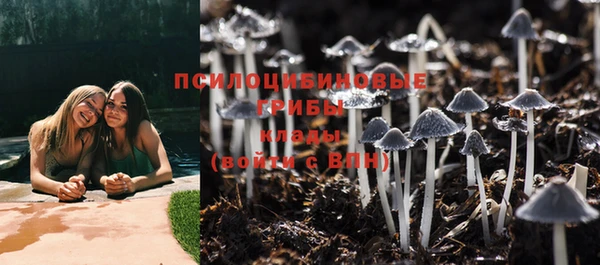 apvp Горно-Алтайск
