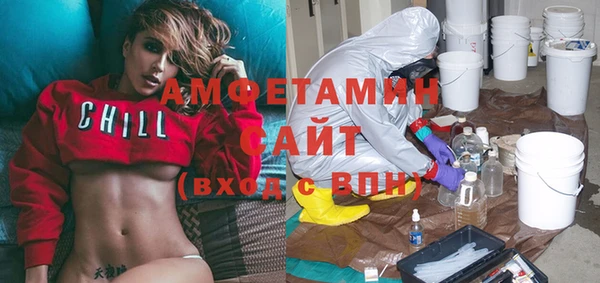 шишки Горняк
