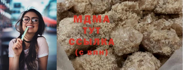 шишки Горняк