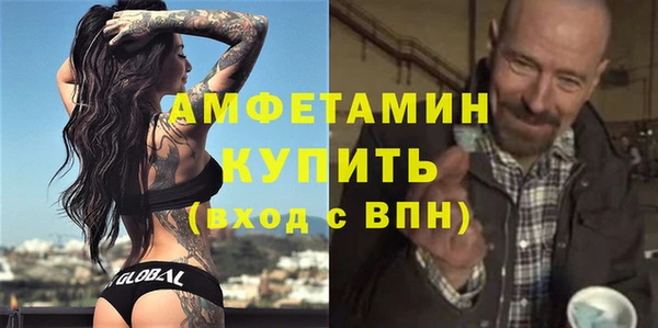 шишки Горняк