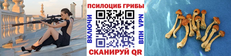 Купить  Саянск  Псилоцибиновые грибы ЛСД 